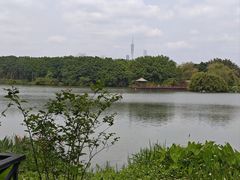 -海珠湖公园