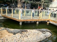 -石家庄市动物园