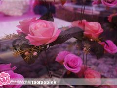 2012.9.14-GAGA主题量贩式KTV平价店(工大店)