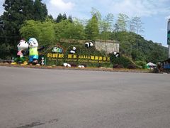 -雅安上里古镇