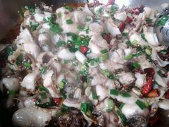 -百岁鱼(七一路店)