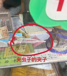 -三分地生态园·儿童乐园