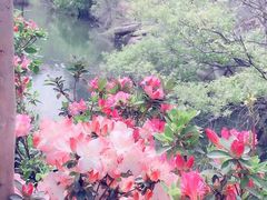 -木兰云雾山