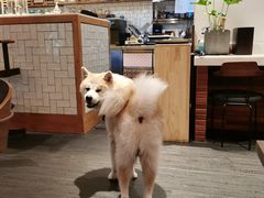 -BOCATA 西班牙餐厅(三里屯店)