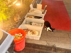 -大笑饭堂(甲子桥店)