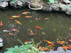 -广州白天鹅宾馆