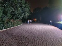 -大蜀山国家森林公园
