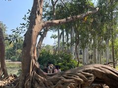 -昆明植物园