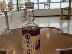 -共舞时光猫咖·狗咖(新街口店)