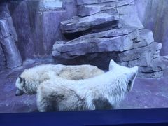 -多彩贵州城极地海洋世界