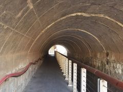 -白水寺森林公园