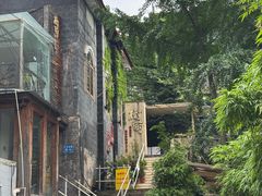 -树厨贵州菜(大十字店)
