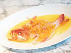鸡汁自制黄椒酱蒸东星斑-湖滨28中餐厅·西湖宴·杭州君悦酒店