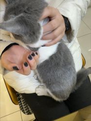 -弘源美甲美睫