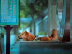 -玉林生活广场