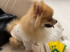 -怪兽屋·羊驼·猫咖·狗咖(俊华广场店)