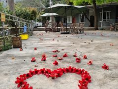 -风云岭森林公园