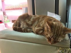 -EasyLady美甲沙龙