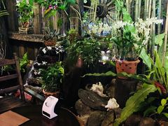 -自然餐厅(Phuket)
