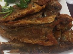 -烁佳海鲜大馅饺子