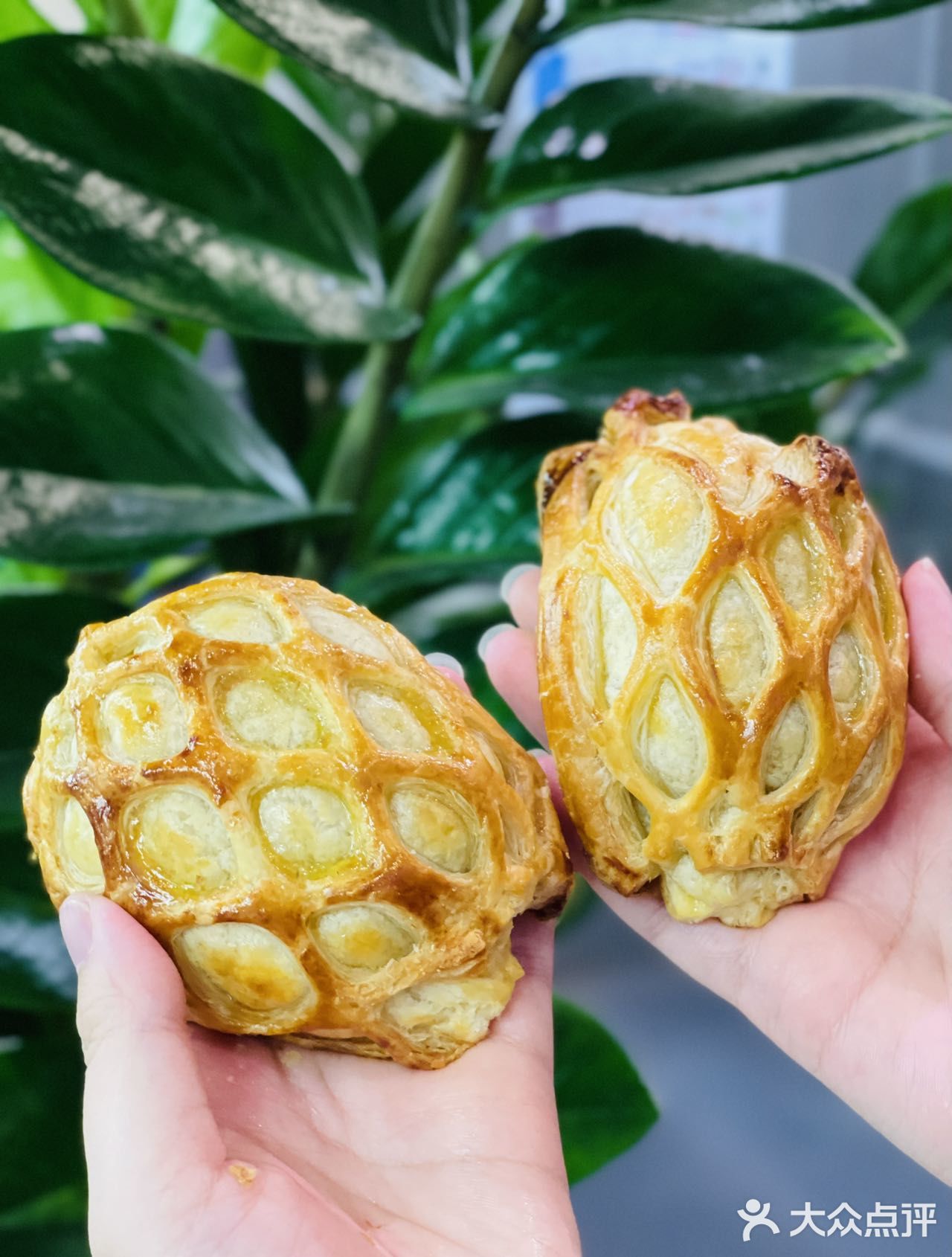 夏日限定！福福饼店和东北大板出联名啦！