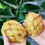 夏日限定！福福饼店和东北大板出联名啦！