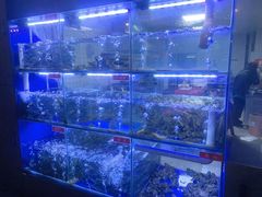 -石锅苗苗鱼(武汉首店)