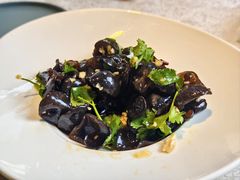 -洞庭家宴·头牌甲鱼(广渠门店)