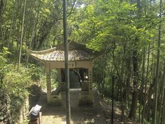 -严子陵钓台(富春江小三峡)