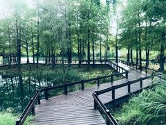 -梁鸿国家湿地公园