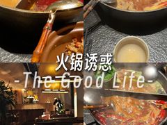 -大龙燚·旷野鲜火锅(广州首店)