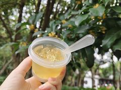 -桂林公园(地铁站)