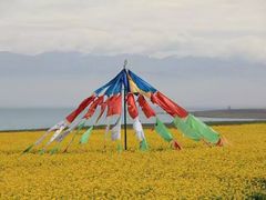 -青海湖国家重点风景名胜区