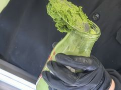 -鹤茶野所(上海首店)