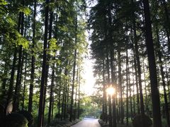 -上海怡沁园度假酒店
