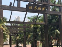 -云南民族村