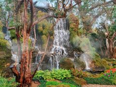 -Chom Cafe and Restaurant