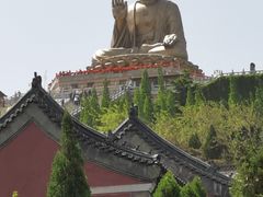 -龙口南山旅游景区