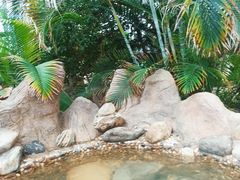 -瑞阁温泉酒店温泉中心