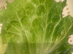 -新石器烤肉(马鞍山印象汇店)