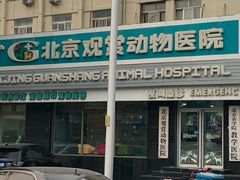 -北京观赏动物医院·24小时大型综合·猫专科·异宠专科