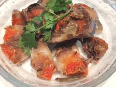 -百年银屏蚝烙·潮汕菜·非遗(乐山店)