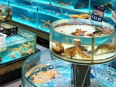 -强记海鲜·大排档(蛇口新街店)