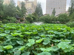 -郑和公园