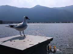 -海埂大坝