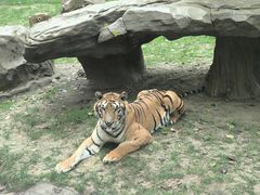 -北京野生动物园