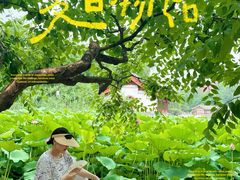 -红花点心局(大观园店)