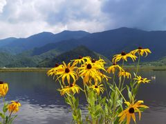 -大九湖