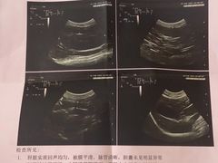 -美联众合动物医院·24h转诊中心