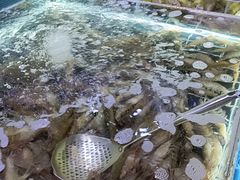 -聚盛源蒸汽海鲜火锅烤肉自助(巨川金海岸购物广场店)